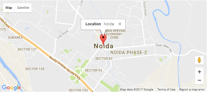 Show marker on google map using latitude and longitude with info window