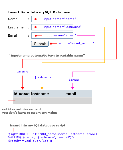 Insert Data into MySQL Database